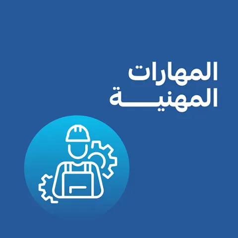 المهارات المهنية