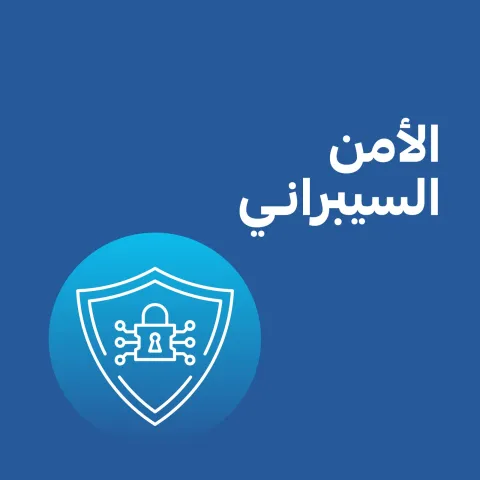 الأمن السيبراني 