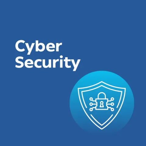 الأمن السيبراني